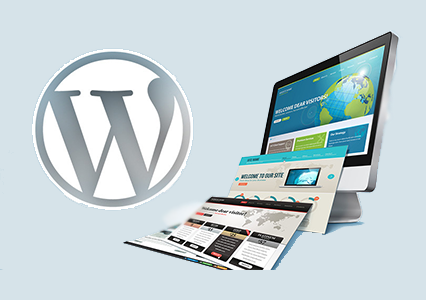 Best Software Development Company in Mumbai